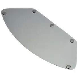 Biltwell Gringo Blast Shield - Chrome Mirror