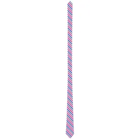 Bisexual Barber Striped Pride Patterned Neck Ties