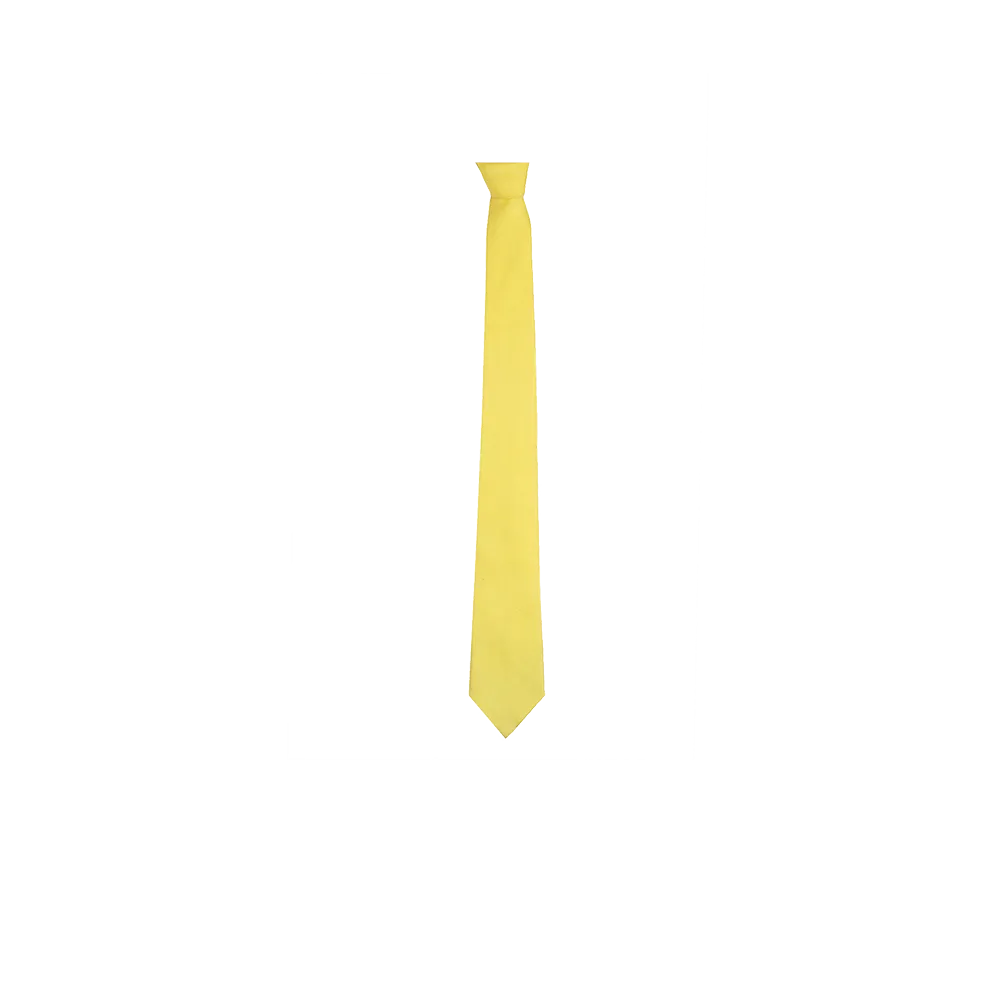 Chokore Yellow color silk tie & Two-in-one Yellow & Purple Green Silk Pocket Square set