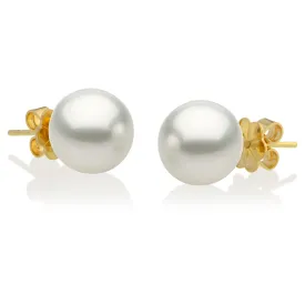 South Sea Stud Earrings 8mm White